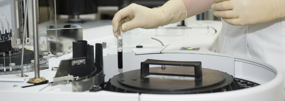 Los nuevos arquetipos de sociedad algo enfadados porque no le hacen mucho caso